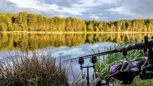 Озеро карпятник