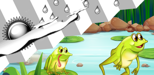 Лягушка погода