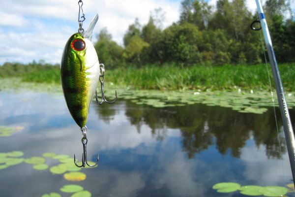 Природа рыбалка