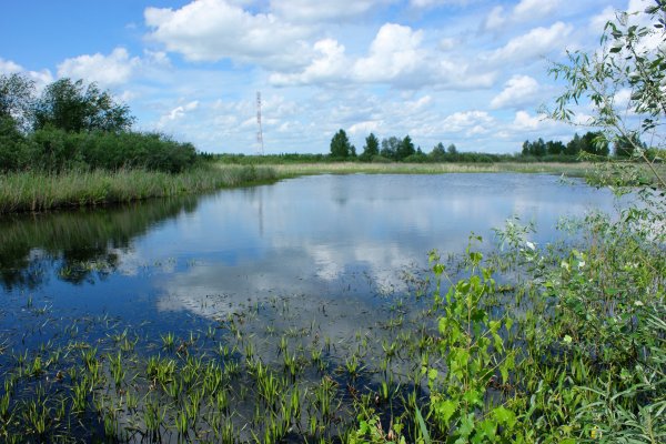 Озеро хорошее Карасукского района