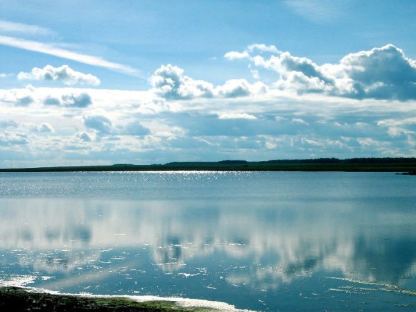 Озеро большие Чаны Новосибирская область