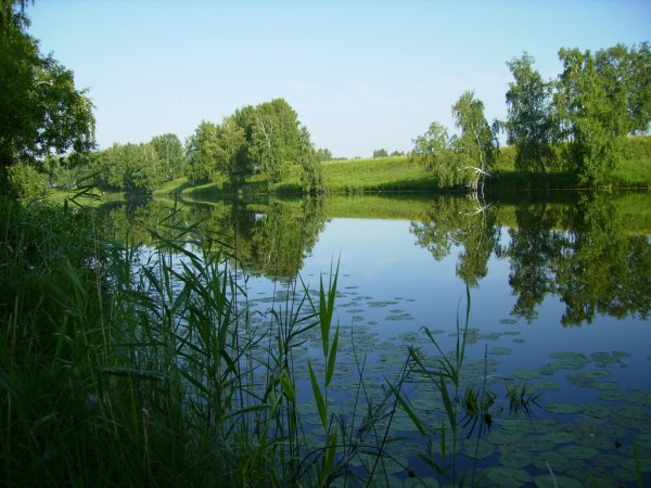 Кыштовка природа