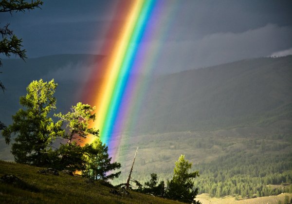 Конец радуг