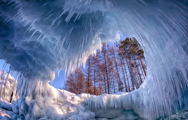 Зимнее чудо