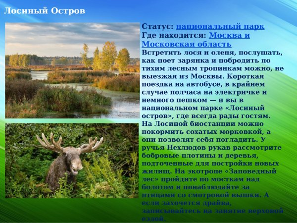 Лосиный остров национальный парк