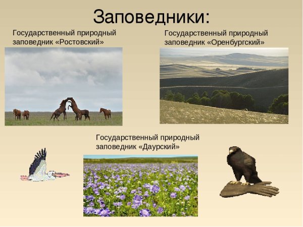 Заповедники степи