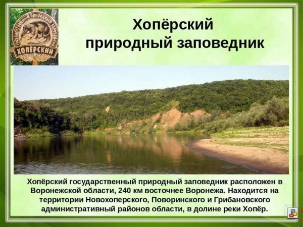 Хоперский заповедник Воронежской области