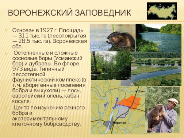Воронежский заповедник национальный парк