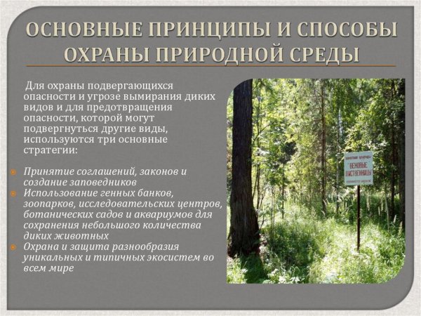 Способы охраны окружающей среды