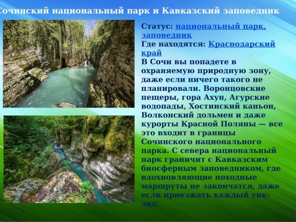 Заповедник в Краснодарском крае Сочинский национальный парк