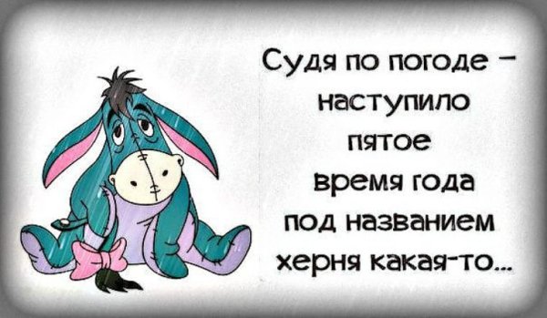 Веселые статусы в картинках про погоду