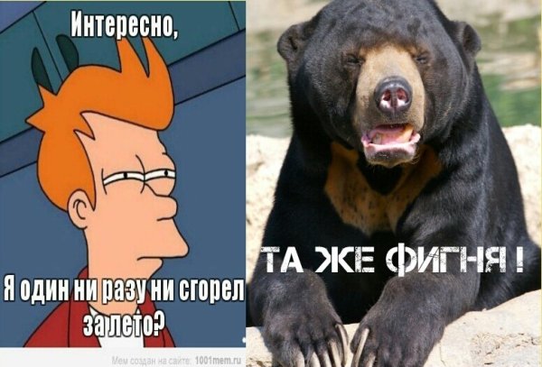 Всякая смешная хрень