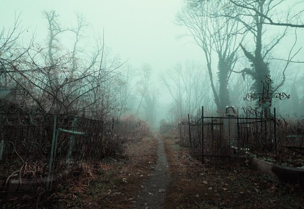 Кладбище Сэдхилл