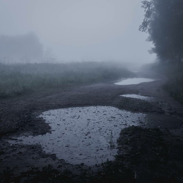 Дождь туман