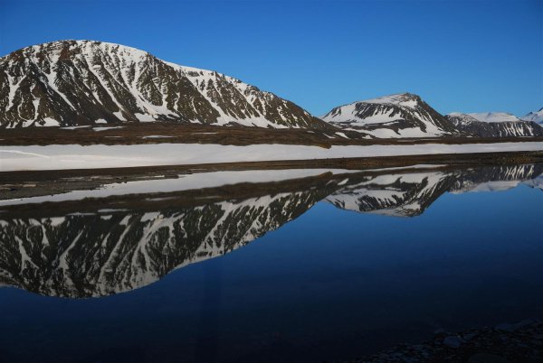 Парк русская Арктика Архангельск