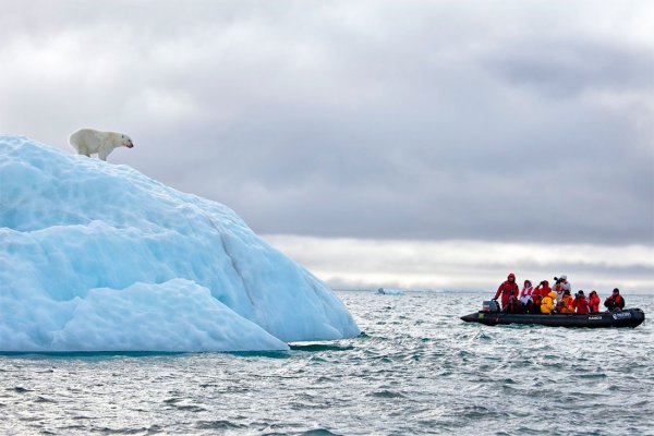 Национальный парк русская Арктика новая земля