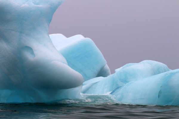 Национальный парк русская Арктика новая земля