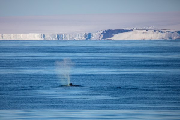 Национальный парк русская Арктика