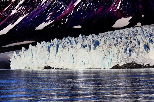 Парк русская Арктика Архангельск