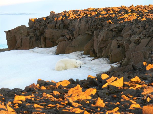 Национальный парк русская Арктика
