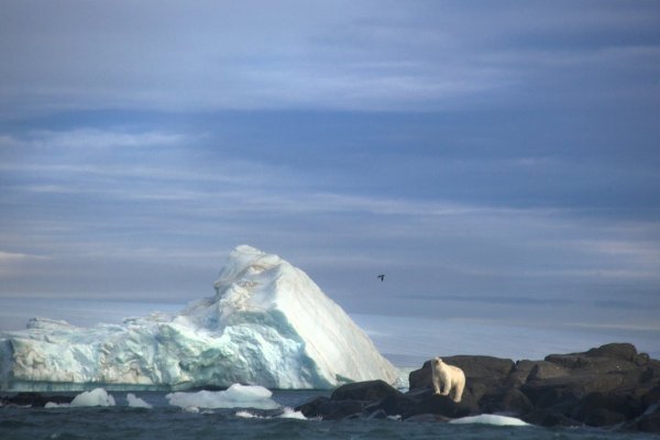 Русская Арктика новая земля