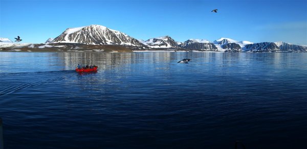 Русская Арктика новая земля