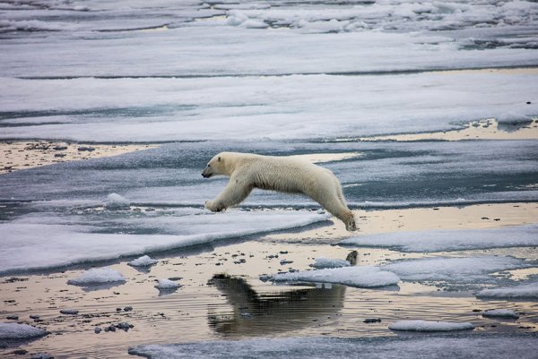 Национальный парк Арктика