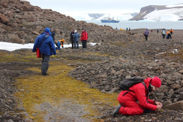 Национальный парк русская Арктика новая земля