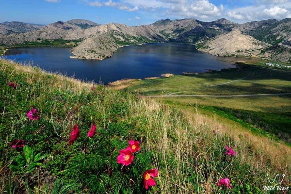 Восточный Казахстан Усть-Каменогорск