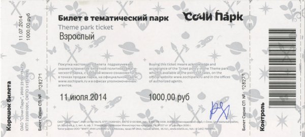Билет в парк развлечений
