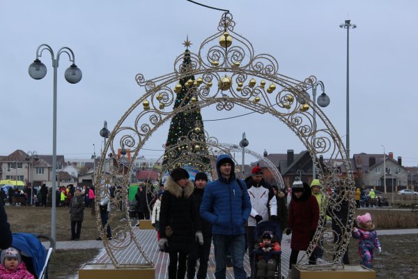 Елка в Олимпийском парке Тамбов