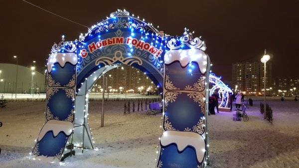 Елка парк Олимпийский Тамбов