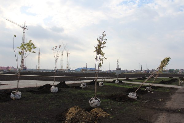 Сцена в Олимпийском парке Тамбов