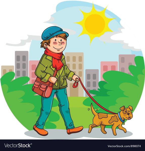 Прогулка с собакой