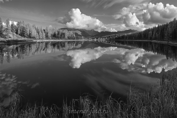 Красивая природа чб