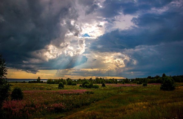 Перед грозой Брянск