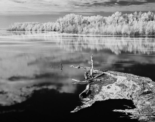 Черно белые фотографии природы шедевры