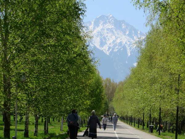 Аллея Алматы