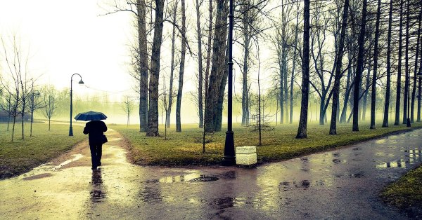 Пасмурная Весна