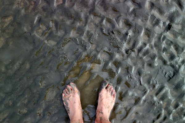 Avi Lake feet