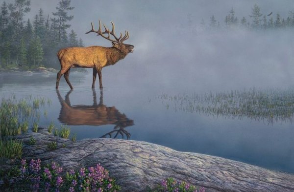 Kim Norlien американский художник