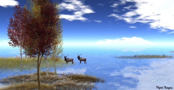 Загадочное озеро с оленям