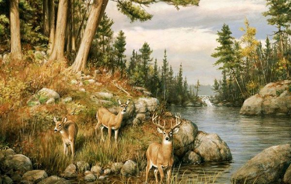 Фотообои на стену на тему охота