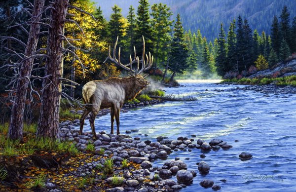 Художник Darrell Bush картины