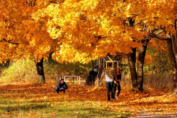 Прогулка в осеннем парке