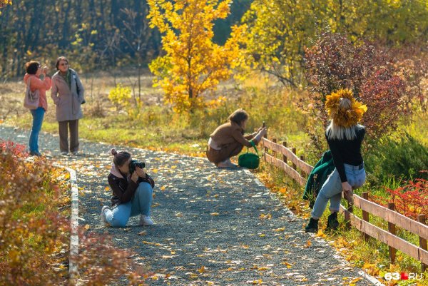 Прогулка в осеннем парке