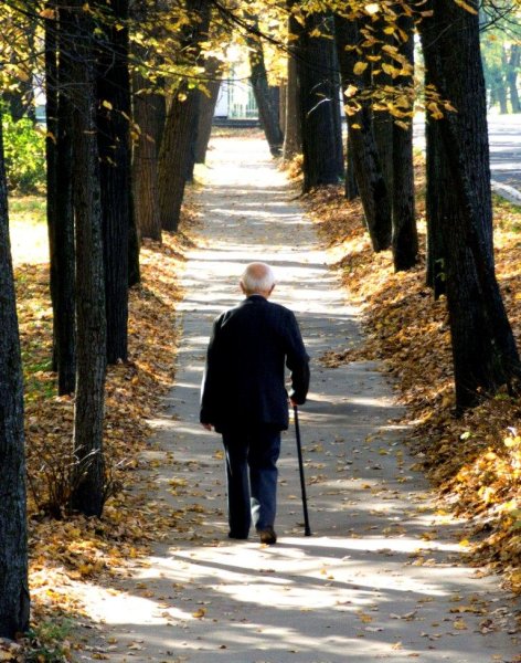 Люди идут по аллее