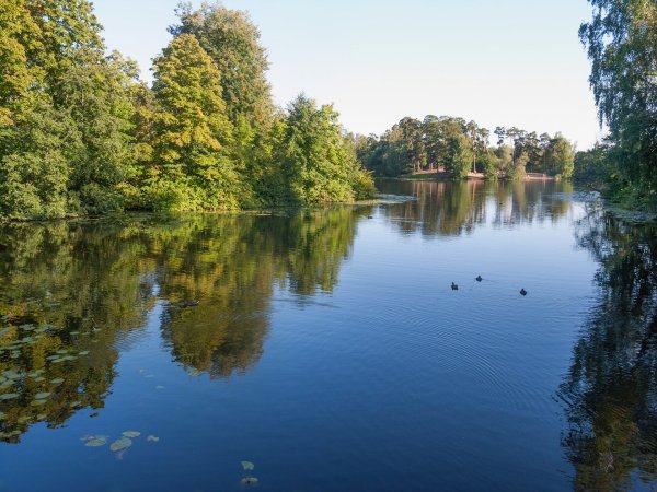 Лесопарк серебряный Бор