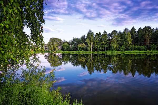 Голубое озеро Московская область Ногинский район