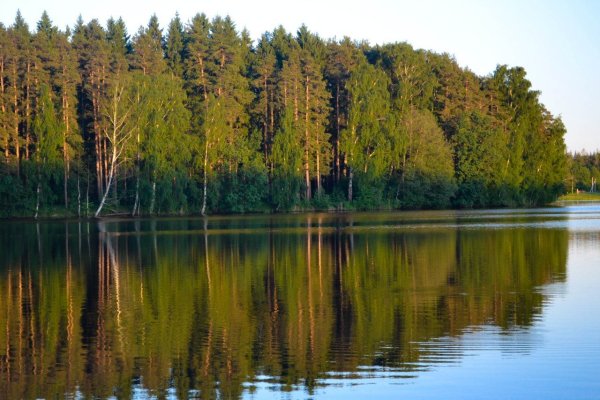 Оз луковое Ногинский район